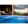 Mosaïque piscine Fosfo Collection – DELPHINUS